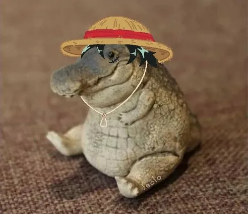 Ảnh vui cá sấu phơi ánh mắt nổi nhìn bãi nắng im lìm