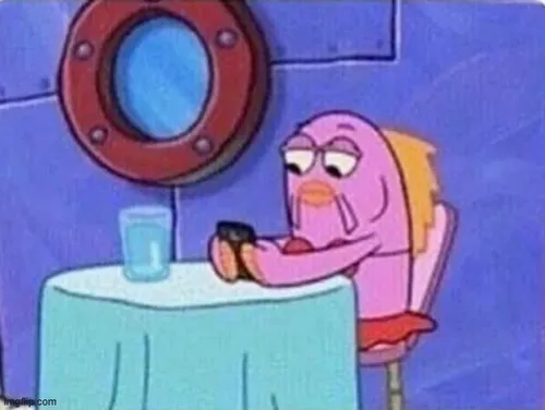 Khoảnh khắc cá đục ngơ ngác nhìn thẳng máy quay.