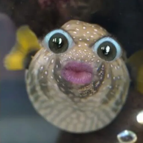 Hình chế cá đối đảo mắt thể hiện sự chịu đựng toàn tập.