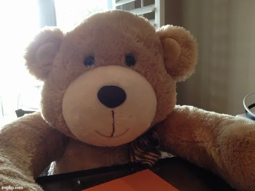 Meme gấu hài mô phỏng gấu ôm cây tạo dáng dễ mến