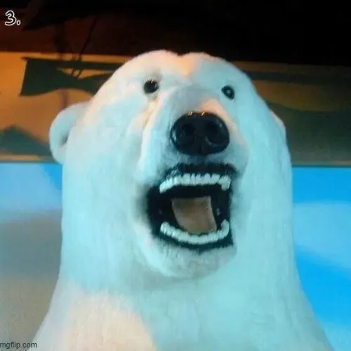 Ảnh vui gấu hiền gắn với động tác rúc rích khi ôm cây