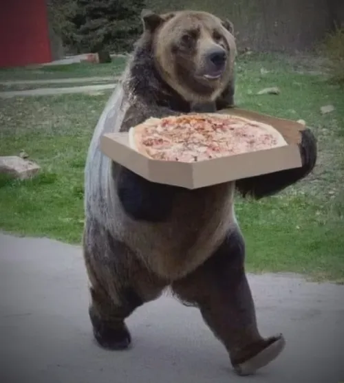 Ảnh meme vui gấu hiền nói về thân hình đồ sộ đang nghiêng