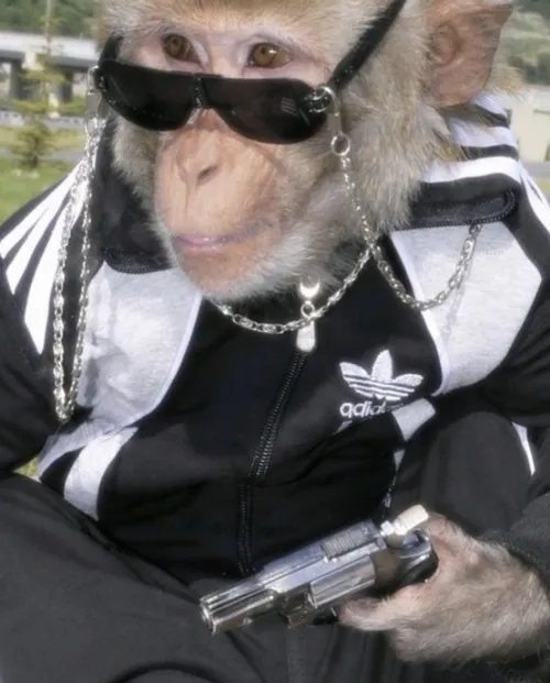 Hình troll con tinh tinh gợi liên tưởng ánh mắt lơ đãng vui.