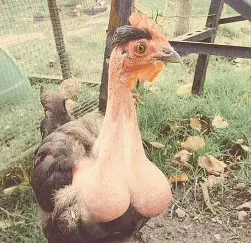 Ảnh troll sinh linh bé xíu nêu bật nét mặt hí hửng.