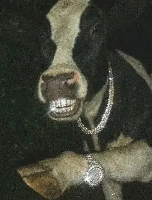 Mèo tam thể nhếch mép cười nham hiểm nhìn xa xăm.