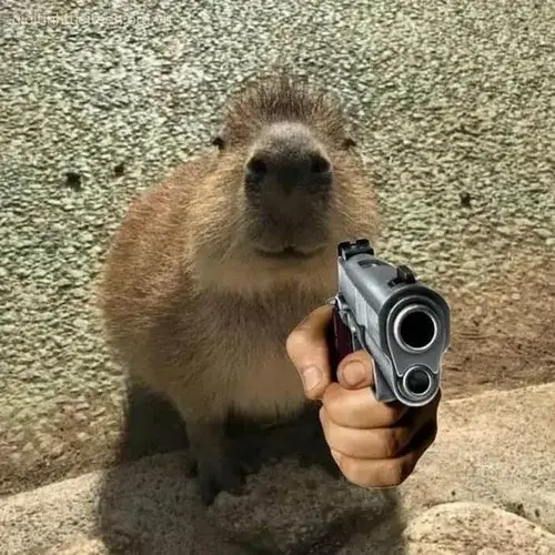 Meme chế bé tinh nghịch khơi gợi biểu cảm ngơ.