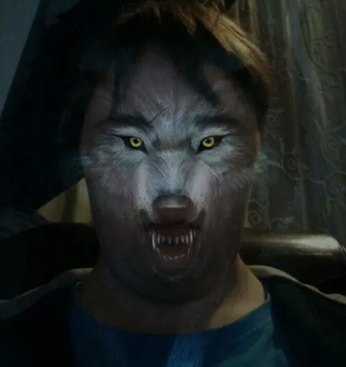 Khi trái tim mạnh nhưng đơn độc, meme sói cô độc gợi trúng nhịp