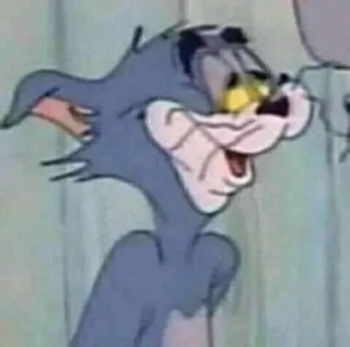 Hình troll mèo biểu cảm tái hiện nụ cười gượng giữa hậu quả đau điếng