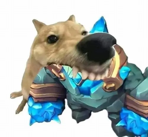 Ảnh meme vui vồ hụt phóng mõm làm chủ nhà co chân