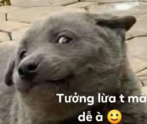 Ảnh hài ánh mắt hờn dỗi pha ẩn ý soi xét rất khẽ