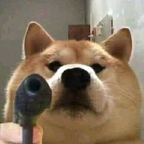 22 ảnh Meme Shiba Cầm Súng khi bạn muốn dằn mặt một cách hài hước