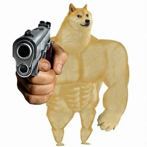 Meme hài bé Shiba cơ bắp giữ súng sát phần cổ lông
