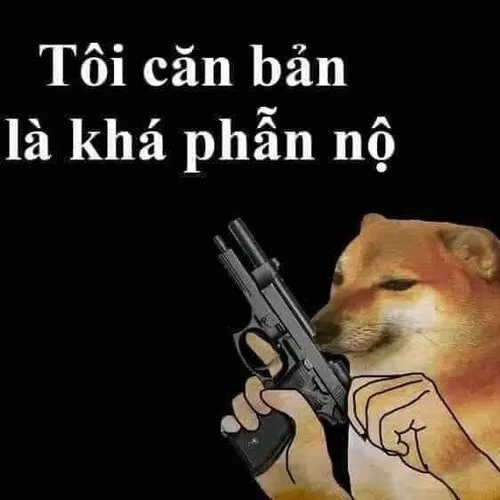 Khoảnh khắc Shiba đặt súng lên bụng khi nằm