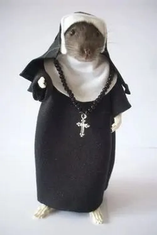 Những lúc bạn không tin vào mắt mình hãy dùng chuột cầm thánh giá.