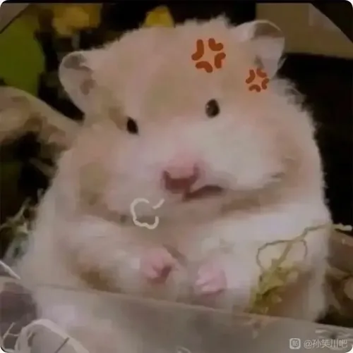 Meme chuột run sợ rụt cổ nép sát hốc tường lạnh lẽo.