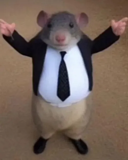 Meme chuột tròn bụng: Phiên bản đáng yêu nhưng “hơi tăng động”