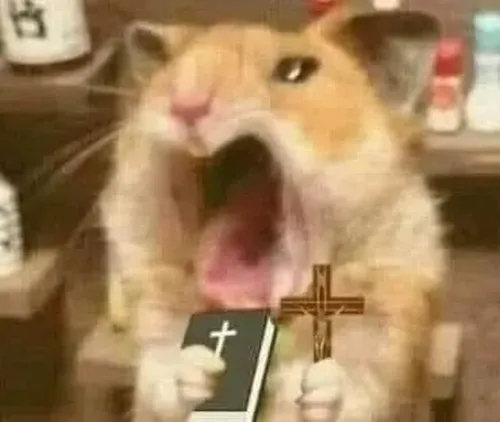 Meme chuột ôm đầu than thở với dáng lom khom đặc trưng.