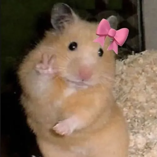 Meme chuột cảm ơn nghiêng đầu gây thiện cảm ngọt ngào bé xíu.