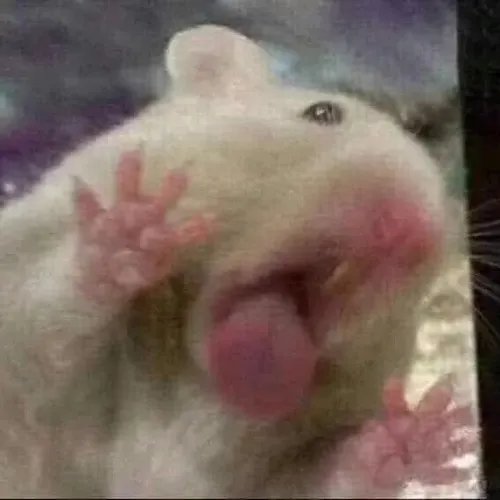 Ảnh chuột cầm súng đồ chơi tạo vibe hài hước pha ngầu.