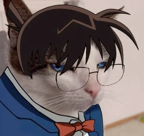 Phong thái bình tĩnh của Conan toát lên giữa những vụ án rối rắm thường gặp