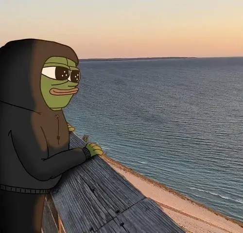 Ảnh meme vui ếch pepe thõng vai thể hiện sự chán nản.