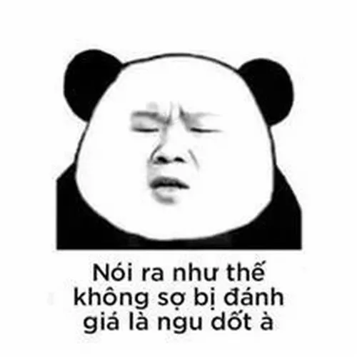 Meme gấu trúc xem thường bằng ánh mắt nửa lười nửa chán.
