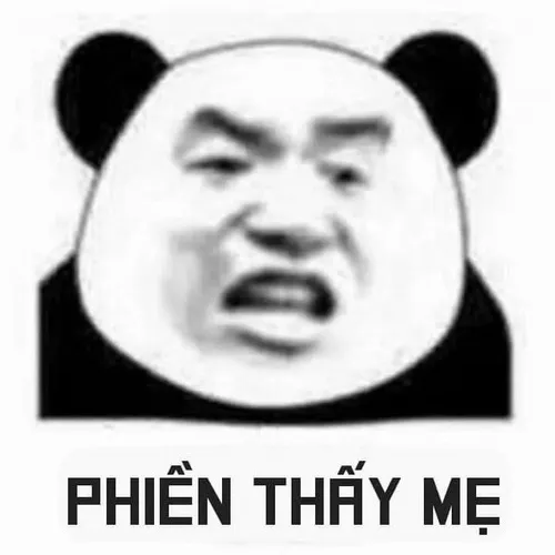 Meme hài gấu trúc ngây thơ mở to mắt nhìn cực dễ mến.