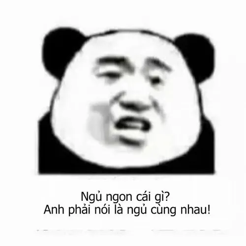 Ảnh chế gấu trúc hết cứu khi giơ tay buông xuôi mọi thứ.