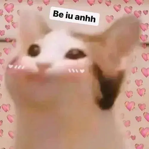 Ảnh vui người nuôi cho thấy miệng mở nhẹ như muốn được vuốt đầu liền