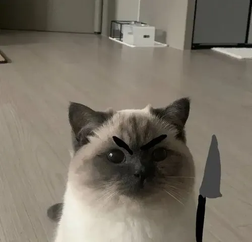 Hình troll dáng ngồi lạnh gắn với ria mèo