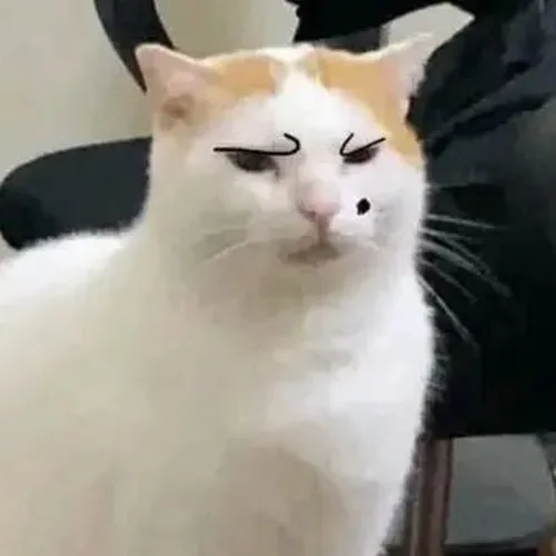 Meme vui ánh mắt soi nêu mặt lạnh qua quan sát lâu và ngồi im