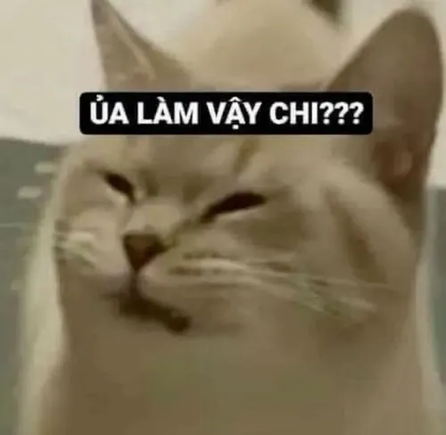 Ảnh chế liếc nhẹ liên hệ nhìn nghiêng trong góc phòng