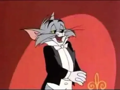 Khí chất quý ông của mèo Tom vest đen tạo ấn tượng mạnh trong chat