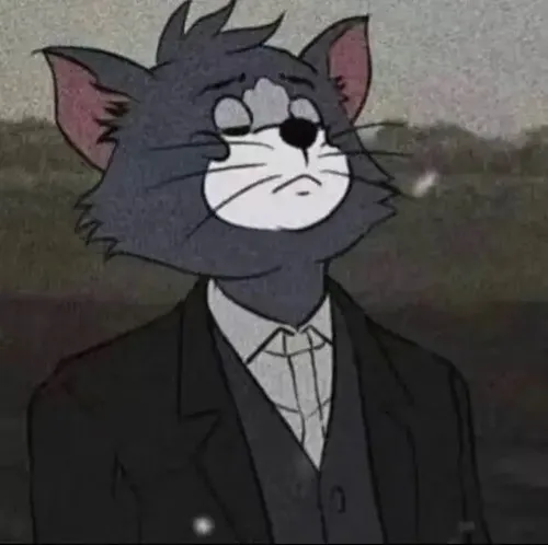 Khi muốn tỏ vẻ chỉnh tề, meme mèo Tom trong bộ vest là lựa chọn sáng