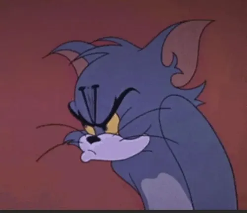 Meme Tom mèo Tom gắn với biểu cảm méo mặt kinh điển