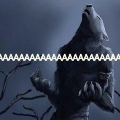 Lúc khao khát quyền lực im lặng, meme sói đầu đàn xuất hiện