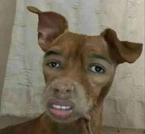 Meme chế con thú vui nhộn thể hiện biểu cảm lạ đầy tinh nghịch.