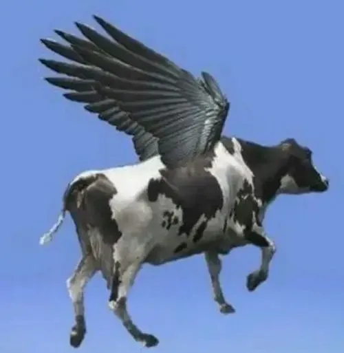 Meme giống loài hóm hỉnh chuẩn cho khoảnh khắc bí từ