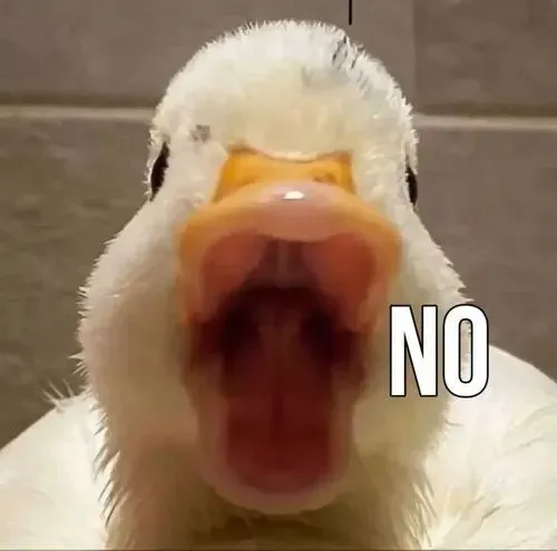 Khỉ nâu cau mày tức giận nhìn bạn mình.