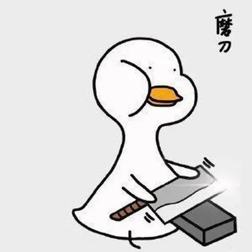 Ảnh vui ngan trắng mài dao