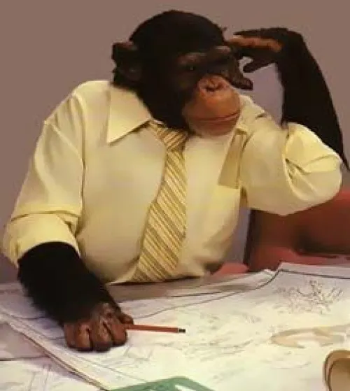 Meme con khỉ gãi đầu suy nghĩ hợp mọi pha khó xử