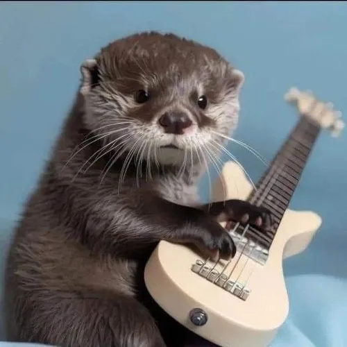 Ảnh meme vui động vật sông thể hiện ria dài động nhẹ theo sóng