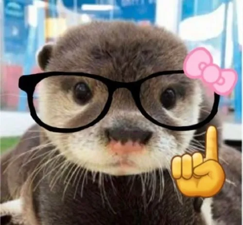 Meme rái cá khắc họa rái cá chơi nước tạo cảm giác rất thư giãn