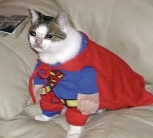 Meme mèo Superman chuẩn cho tình huống muốn phóng đại sự mạnh mẽ bất ngờ.