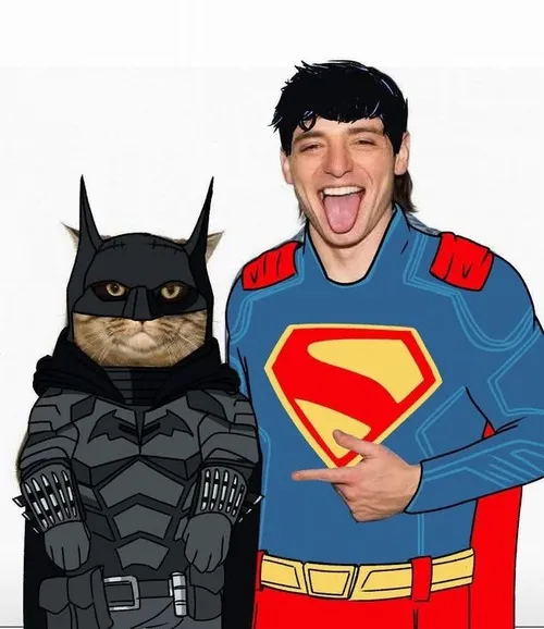 Siêu nhân và Người dơi mèo