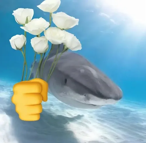 Ảnh vui cá mập tặng hoa