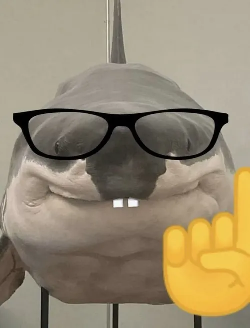 Meme cá mập bật nụ cười nhe răng kiểu troll độc lạ.