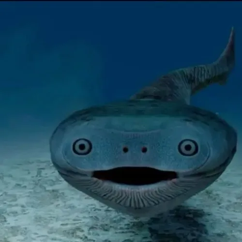 Biểu cảm cá lơ lửng thích hợp cho khoảnh khắc mệt tâm hồn