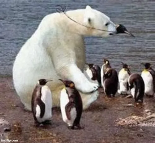 Meme chế gấu ú mô tả gấu lăn lộn giữa lá khô