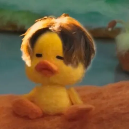 Vịt vui nhộn meme: Bộ ảnh lan tỏa năng lượng tích cực